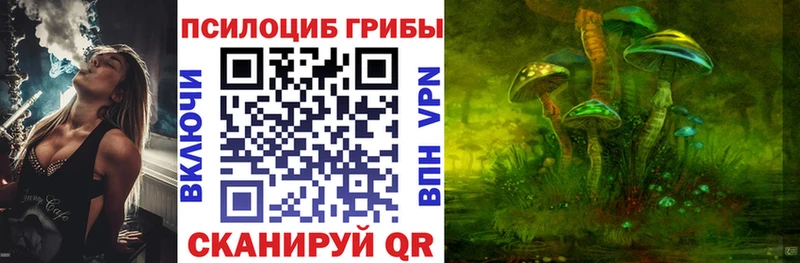 Галлюциногенные грибы MAGIC MUSHROOMS  как найти наркотики  Алзамай 